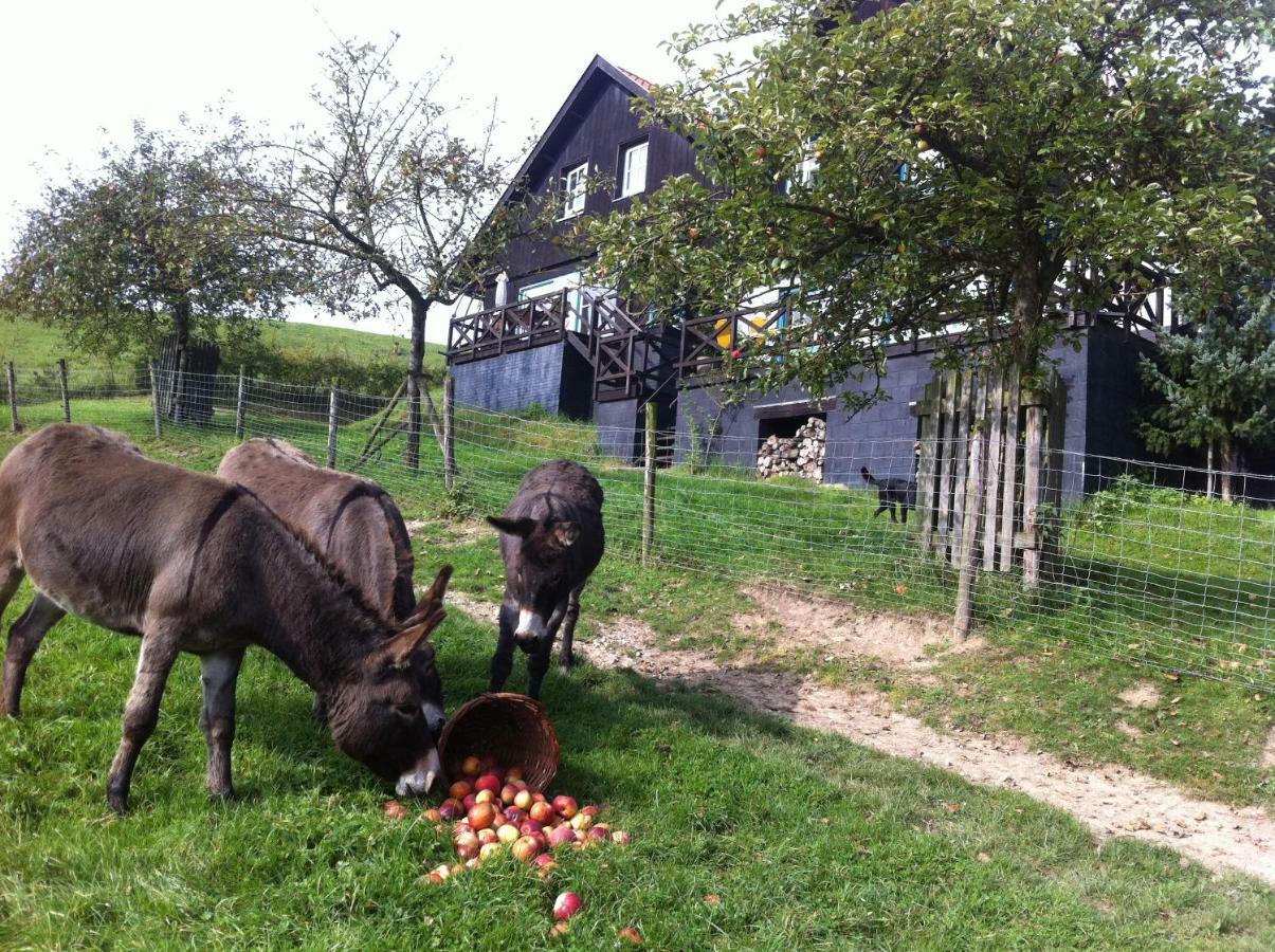 Hoeve Schoonzicht Wijlre Екстер'єр фото